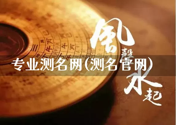 专业测名网(测名官网)_https://www.nbtfsb.com_国学动态_第1张
