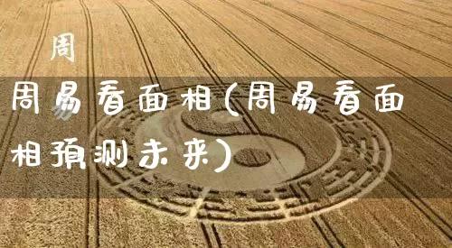 周易看面相(周易看面相预测未来)_https://www.nbtfsb.com_生肖星座_第1张