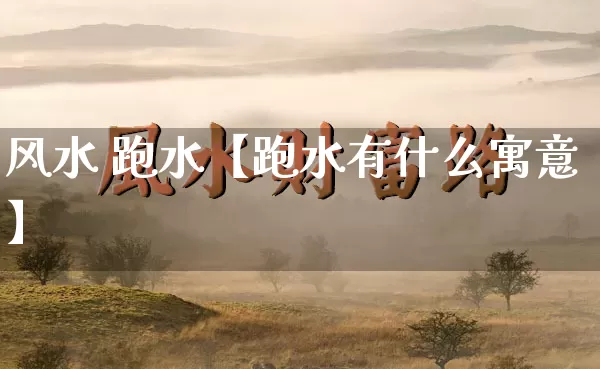 风水 跑水【跑水有什么寓意】_https://www.nbtfsb.com_周公解梦_第1张
