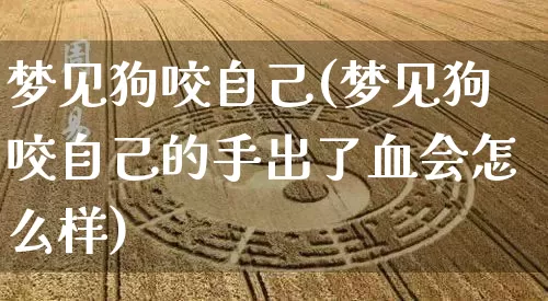 梦见自己被狗咬还咬出血了，梦境背后的深层解析与心理启示