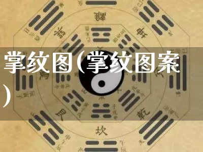 掌纹图(掌纹图案)_https://www.nbtfsb.com_道源国学_第1张