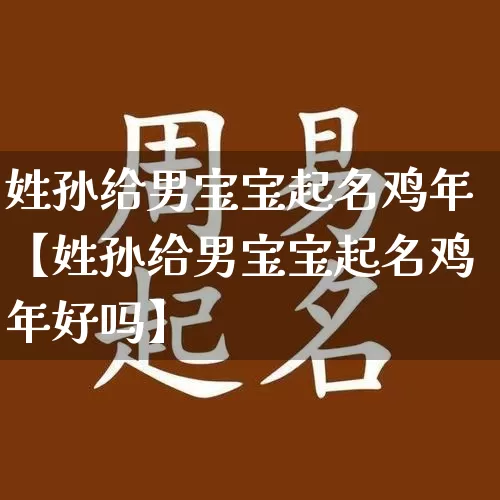 姓孙给男宝宝起名鸡年【姓孙给男宝宝起名鸡年好吗】_https://www.nbtfsb.com_国学动态_第1张