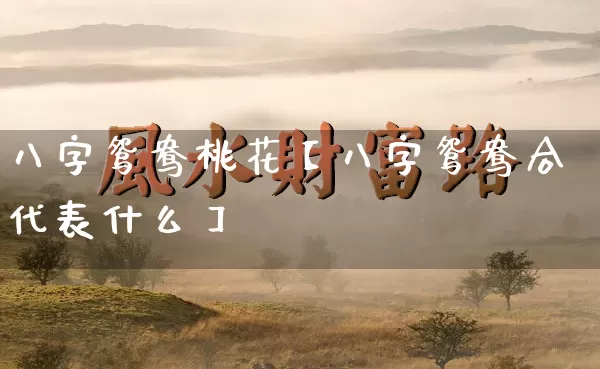 八字鸳鸯桃花【八字鸳鸯合代表什么】_https://www.nbtfsb.com_道源国学_第1张