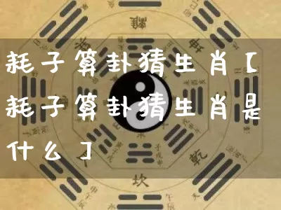 耗子算卦猜生肖【耗子算卦猜生肖是什么】_https://www.nbtfsb.com_生肖星座_第1张