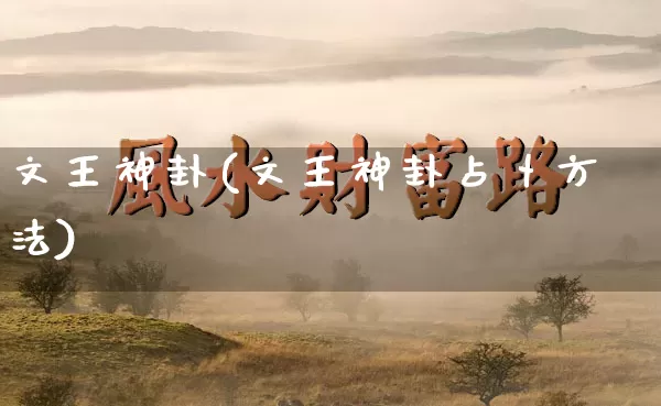 文王神卦(文王神卦占卜方法)_https://www.nbtfsb.com_周公解梦_第1张