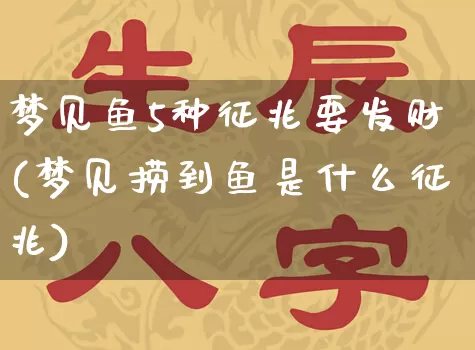 梦见鱼5种征兆要发财(梦见捞到鱼是什么征兆)_https://www.nbtfsb.com_道源国学_第1张