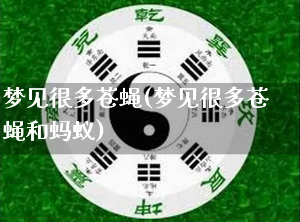 梦见很多苍蝇(梦见很多苍蝇和蚂蚁)_https://www.nbtfsb.com_周公解梦_第1张
