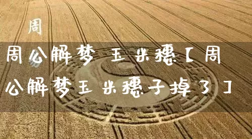 周公解梦 玉米穗【周公解梦玉米穗子掉了】_https://www.nbtfsb.com_国学动态_第1张