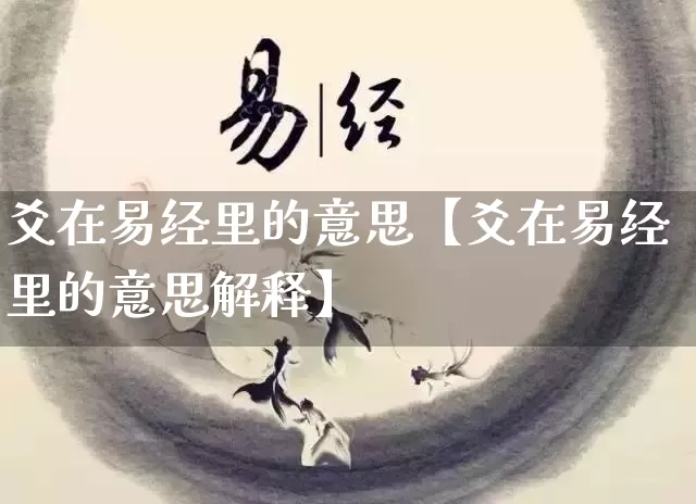 爻在易经里的意思【爻在易经里的意思解释】_https://www.nbtfsb.com_道源国学_第1张