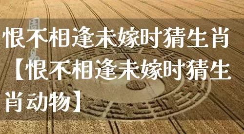 恨不相逢未嫁时猜生肖【恨不相逢未嫁时猜生肖动物】_https://www.nbtfsb.com_道源国学_第1张