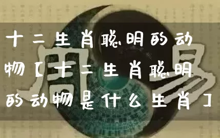十二生肖聪明的动物【十二生肖聪明的动物是什么生肖】_https://www.nbtfsb.com_国学动态_第1张