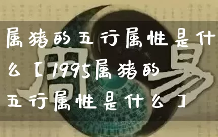 属猪的五行属性是什么【1995属猪的五行属性是什么】_https://www.nbtfsb.com_生肖星座_第1张