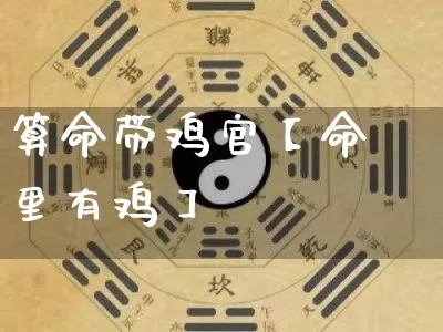 算命带鸡官【命里有鸡】_https://www.nbtfsb.com_国学动态_第1张