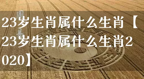 23岁生肖属什么生肖【23岁生肖属什么生肖2020】_https://www.nbtfsb.com_道源国学_第1张