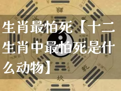 生肖最怕死【十二生肖中最怕死是什么动物】_https://www.nbtfsb.com_易经起名_第1张