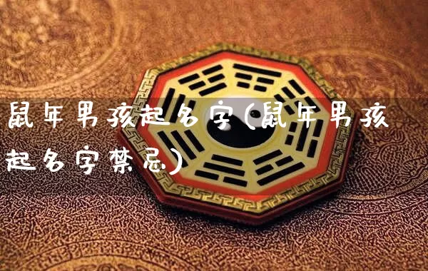 鼠年男孩起名字(鼠年男孩起名字禁忌)_https://www.nbtfsb.com_周公解梦_第1张