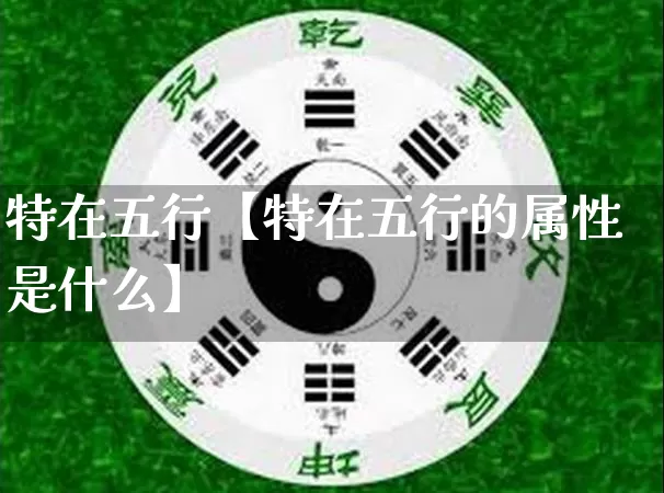 特在五行【特在五行的属性是什么】_https://www.nbtfsb.com_道源国学_第1张