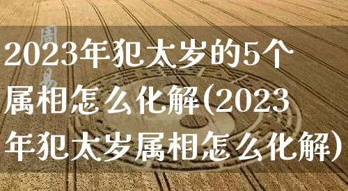 2023年犯太岁的5个属相怎么化解(2023年犯太岁属相怎么化解)_https://www.nbtfsb.com_周公解梦_第1张