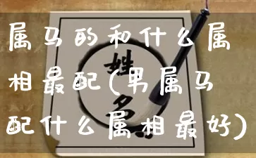属马的和什么属相最配(男属马配什么属相最好)_https://www.nbtfsb.com_周公解梦_第1张