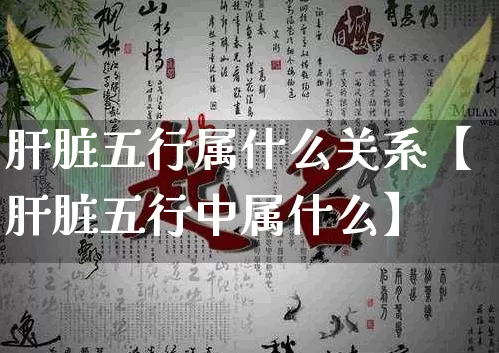 肝脏五行属什么关系【肝脏五行中属什么】_https://www.nbtfsb.com_五行风水_第1张
