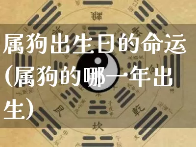 属狗出生日的命运(属狗的哪一年出生)_https://www.nbtfsb.com_周公解梦_第1张