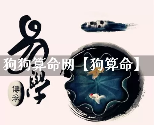 狗狗算命网【狗算命】_https://www.nbtfsb.com_八字算命_第1张