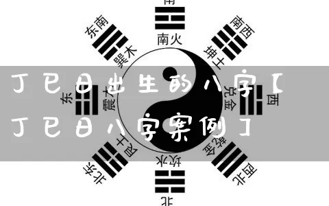 丁巳日出生的八字【丁巳日八字案例】_https://www.nbtfsb.com_道源国学_第1张