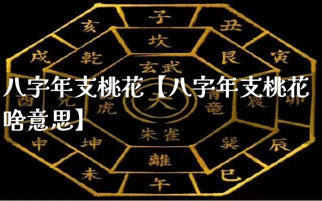八字年支桃花【八字年支桃花啥意思】_https://www.nbtfsb.com_国学动态_第1张