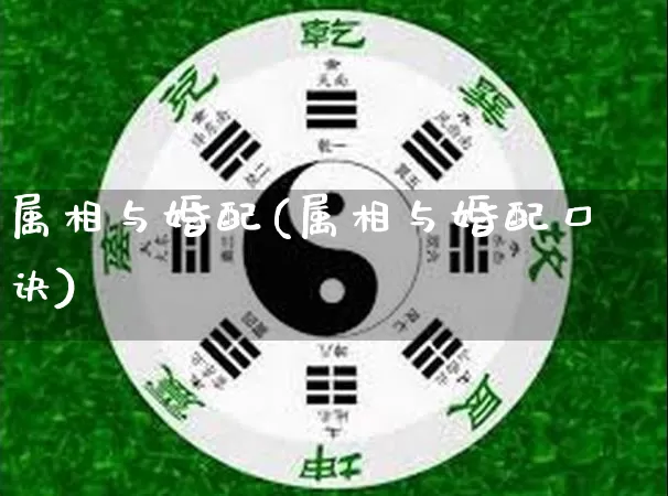 属相与婚配(属相与婚配口诀)_https://www.nbtfsb.com_易经起名_第1张