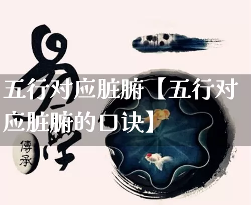 五行对应脏腑【五行对应脏腑的口诀】_https://www.nbtfsb.com_生肖星座_第1张