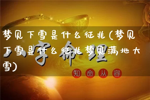 梦见下雪是什么征兆(梦见下雪是什么征兆梦见满地大雪)_https://www.nbtfsb.com_五行风水_第1张