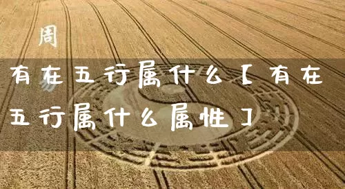 有在五行属什么【有在五行属什么属性】_https://www.nbtfsb.com_易经起名_第1张