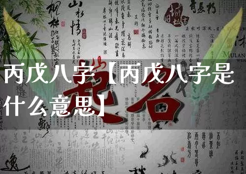 丙戊八字【丙戊八字是什么意思】_https://www.nbtfsb.com_国学动态_第1张