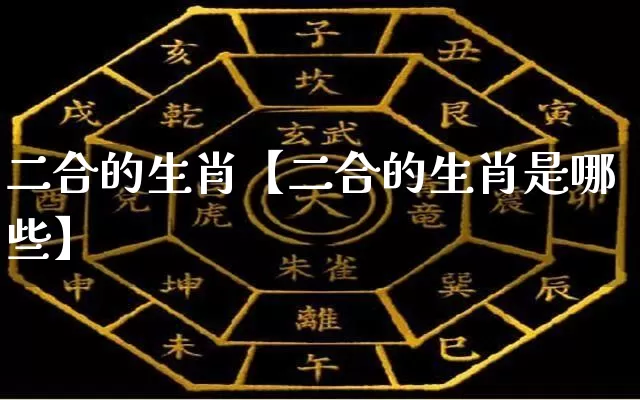 二合的生肖【二合的生肖是哪些】_https://www.nbtfsb.com_五行风水_第1张