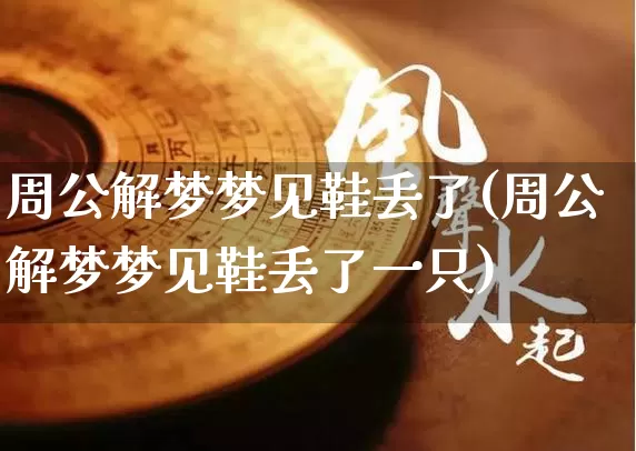周公解梦梦见鞋丢了(周公解梦梦见鞋丢了一只)_https://www.nbtfsb.com_易经起名_第1张