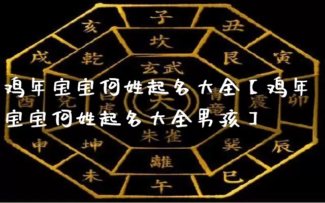 鸡年宝宝何姓起名大全【鸡年宝宝何姓起名大全男孩】_https://www.nbtfsb.com_国学动态_第1张