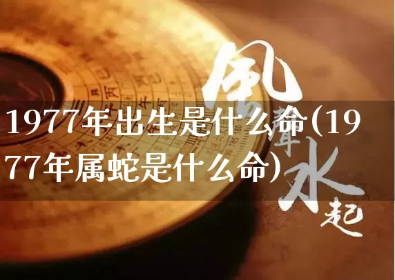 1977年出生是什么命(1977年属蛇是什么命)_https://www.nbtfsb.com_周公解梦_第1张