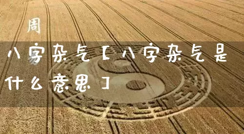 八字杂气【八字杂气是什么意思】_https://www.nbtfsb.com_周公解梦_第1张