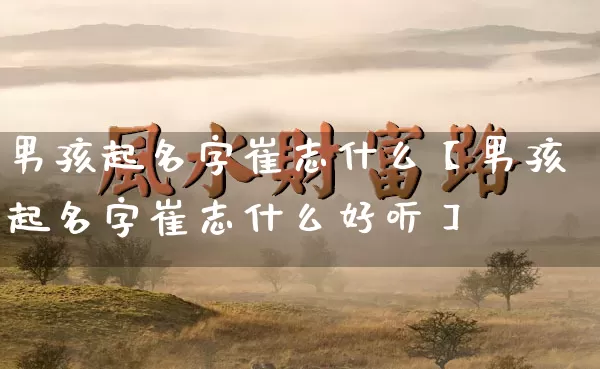 男孩起名字崔志什么【男孩起名字崔志什么好听】_https://www.nbtfsb.com_易经起名_第1张