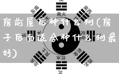 房前屋后种什么树(房子后面适合种什么树最好)_https://www.nbtfsb.com_生肖星座_第1张