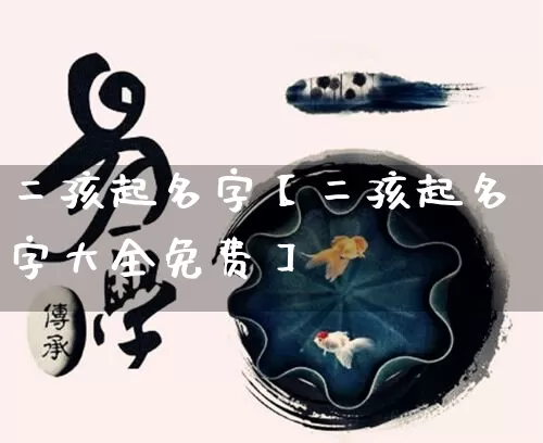 二孩起名字【二孩起名字大全免费】_https://www.nbtfsb.com_八字算命_第1张