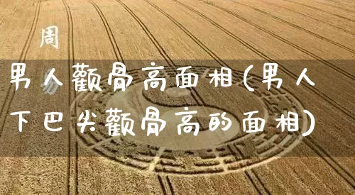 男人颧骨高面相(男人下巴尖颧骨高的面相)_https://www.nbtfsb.com_五行风水_第1张