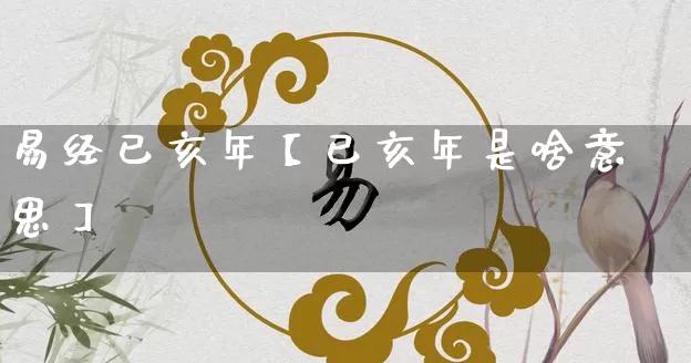 易经已亥年【已亥年是啥意思】_https://www.nbtfsb.com_八字算命_第1张