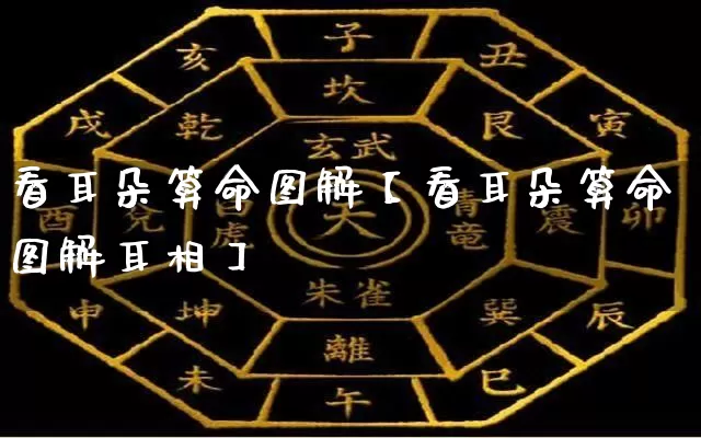看耳朵算命图解【看耳朵算命图解耳相】_https://www.nbtfsb.com_周公解梦_第1张