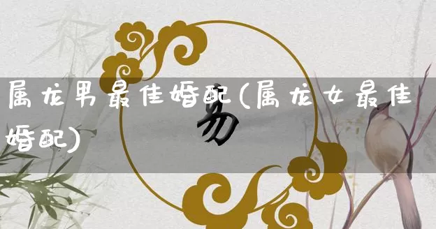属龙男最佳婚配(属龙女最佳婚配)_https://www.nbtfsb.com_道源国学_第1张