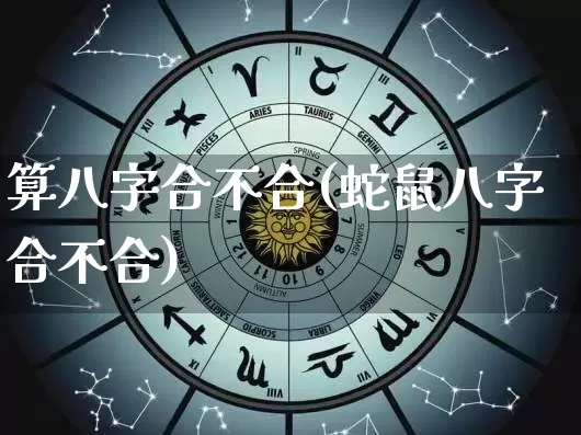 算八字合不合(蛇鼠八字合不合)_https://www.nbtfsb.com_五行风水_第1张