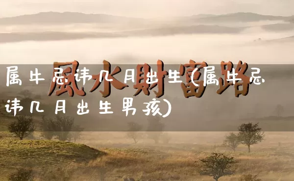 属牛忌讳几月出生(属牛忌讳几月出生男孩)_https://www.nbtfsb.com_易经起名_第1张