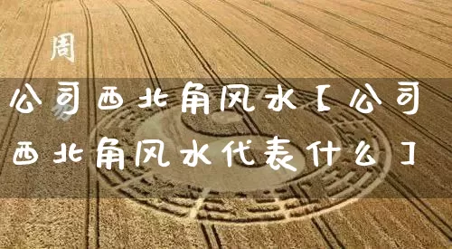 公司西北角风水【公司西北角风水代表什么】_https://www.nbtfsb.com_易经起名_第1张