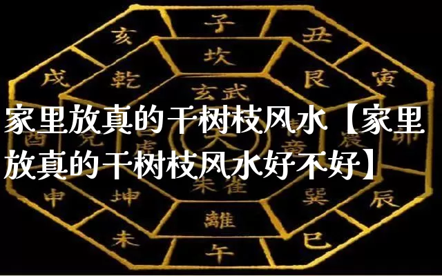 家里放真的干树枝风水【家里放真的干树枝风水好不好】_https://www.nbtfsb.com_生肖星座_第1张