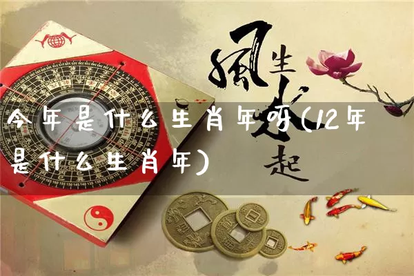 今年是什么生肖年呀(12年是什么生肖年)_https://www.nbtfsb.com_周公解梦_第1张